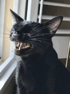 😄