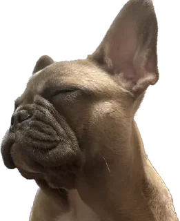 😴