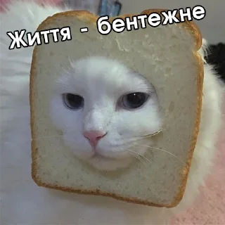 🍞