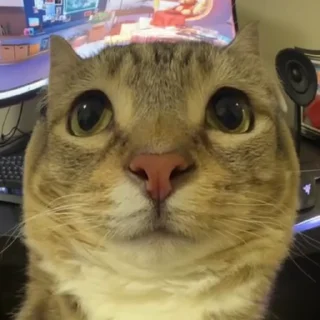 🙄
