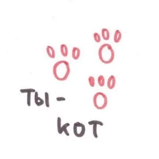 🐱