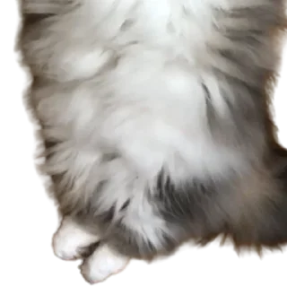 😺