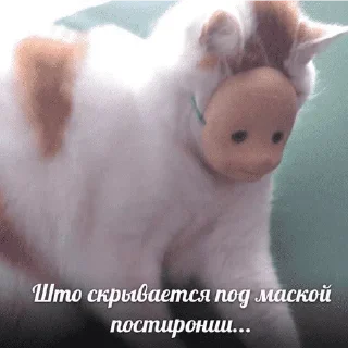 😺