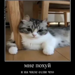 😌