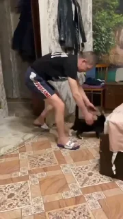 🐱