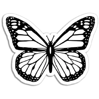 🦋