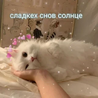 😴