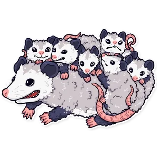 👨‍👩‍👧‍👧