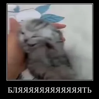😡