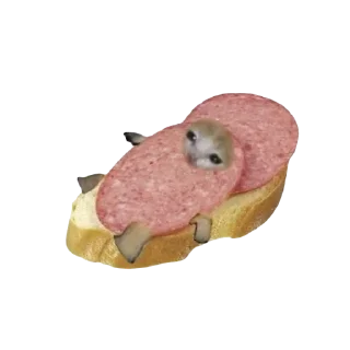 🥪