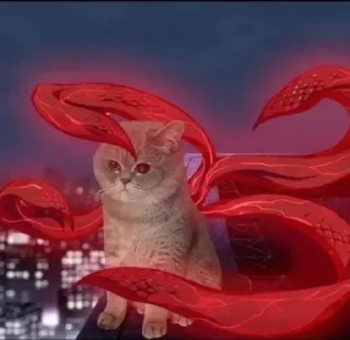 🩸