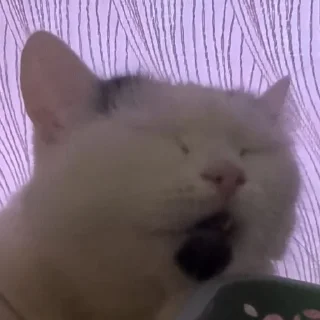 😱