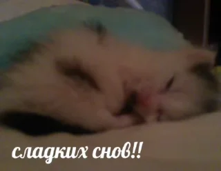 🥰