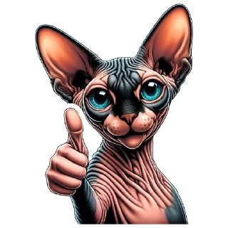 👍