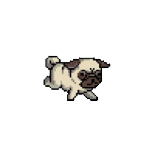 🦮