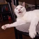 😛