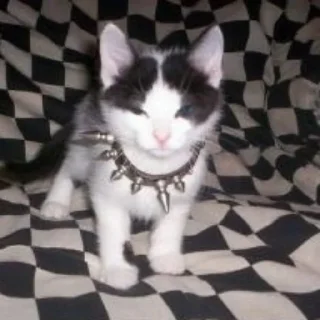 😠
