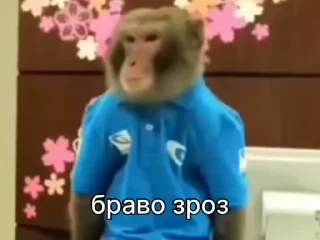 👏