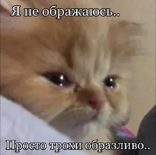 🥹