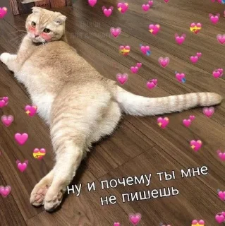 😕