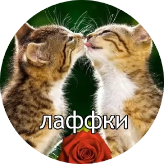 ❤️