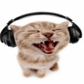 🎧