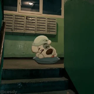 😴