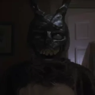 🐰