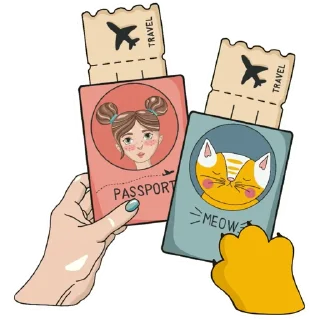 ✈