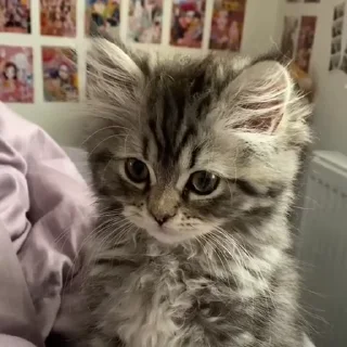 😐