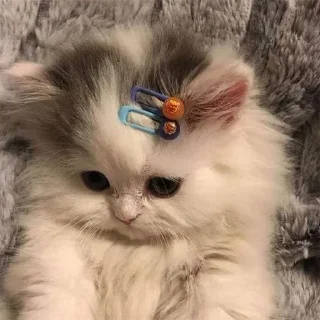 🌟