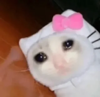 🥺
