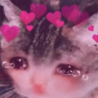 😭