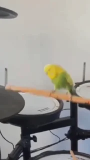 🥁