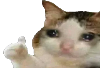 👍