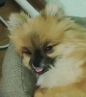 😋