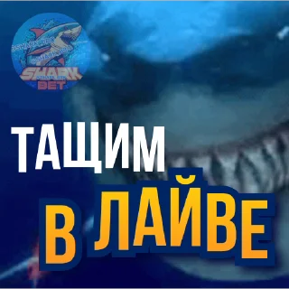 Sharkbet - https://t.me/+9nGzll9_K_01ZDQ1
