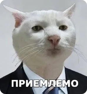 😑