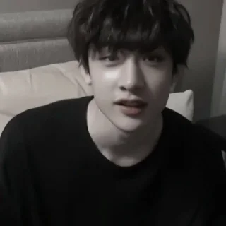 🐺