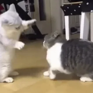 😤