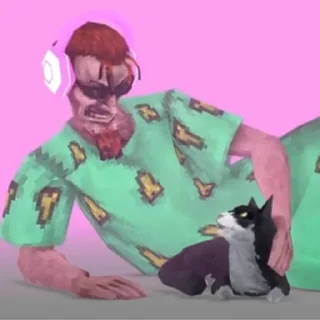 😽