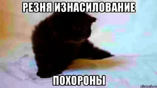 😺