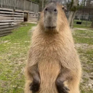 🙂