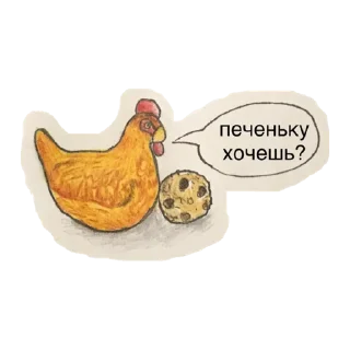 🍪