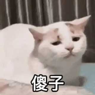 🐈