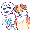 😼