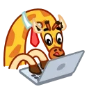 🧑‍💻