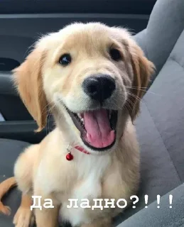 😆