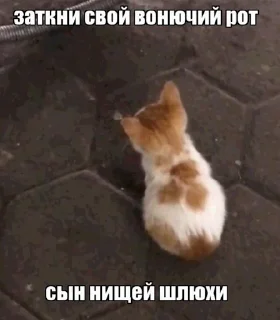 🤩