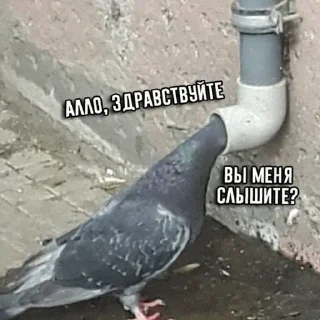 📱